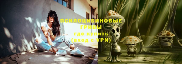 спиды Верея