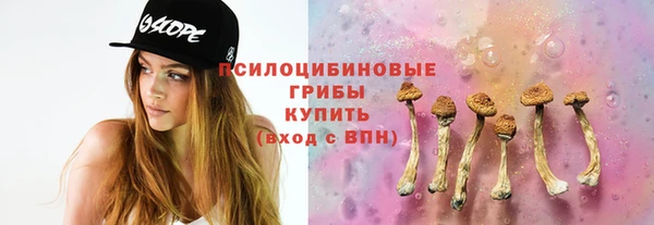 спиды Верея