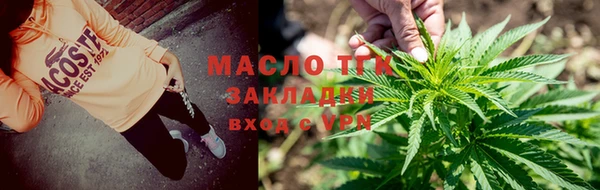 спиды Верея