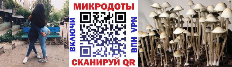 Псилоцибиновые грибы Magic Shrooms  ссылка на мегу как зайти  Южно-Сухокумск 